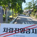 돌배야영장(제2야영장) | [강화도여행]함허동천야영장 1박2일 제3야영장 후기