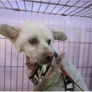 금관대로 이미지