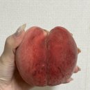평택 과일 선물 - 과일촌 평택 과일 맛집 통복시장 과일 답례품