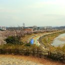 강변길 서천 이미지