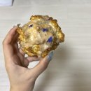 윤띠앗 이미지