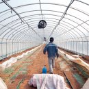 기업농장 이미지