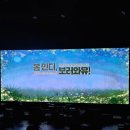 봄 인디, 보러와유 이미지