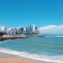 방어진건어물 이미지