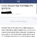 다시는 부모님과 해외여행 가지 않으려고요 이미지