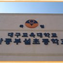 대구교육대학교안동부설초등학교 이미지