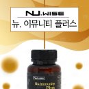 와이즈알 이미지