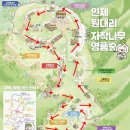 롯데리아분평점 이미지