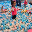 🐡가을소풍-국립해양생물자원관 씨큐리움3탄🐡 이미지