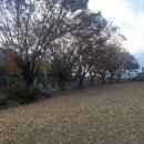 전남과학고등학교 이미지