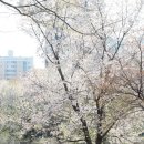 브레드팩토리(BREAD FACTORY) 이미지