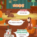 내품애동물병원 이미지