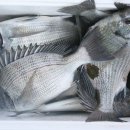 홀통낚시터 이미지