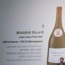 한해 와인 토크쇼 시즌 2 후기 (with 옥상달빛 박세진)