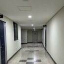 충성 치킨삼파전 네이버블로그