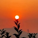 해뜨는민박 | 한국기행 충주 민박 펜션 알아보기(여름 쉬어가기)