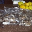 서천프린스 이미지