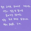 포카드 이미지