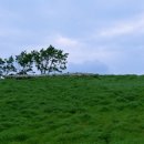 가족목장 이미지