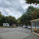 (주)드림하우스 | 강원도 영월 느티나무캠핑장 할로윈축제 계곡 수영장 모래놀이터 키즈캠핑장