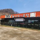 찐곰탕