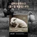 갱스카페(guins cafe) | [공지] 📢📚 돌돌북클럽 #10 모집