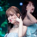 (주)아라리