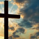 세광메디칼 이미지