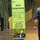 푸릇푸릇 | 담양 죽녹원 근처 김순옥댓잎찹쌀도너츠 본점/ 푸릇푸릇 죽녹원 방문 후기
