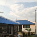 스테이 바미 이미지