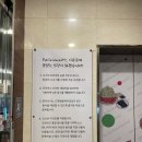 딜리고기 이미지
