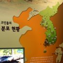 2012 '전북방문의 해' 고창편-고창고인돌박물관 이미지