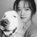 비즈커리어 이미지