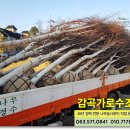 큰소나무농장 이미지
