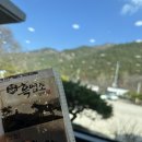 향촌흑염소가든 | 완주 향촌흑염소 오리 진흙구이 솔직후기