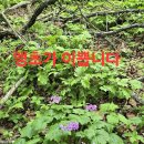 정상에서 본 백두대간 이미지
