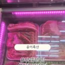 중이축산
