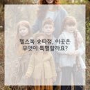 애견스토리 이미지