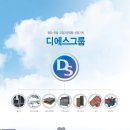 디에스그룹