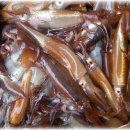 산오징어 이미지