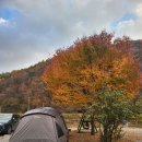 숲과개울펜션