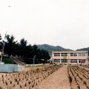 녹남초등학교 이미지