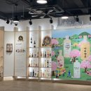 전통주갤러리 4월 시음회 후기 | 봄날의 전통주 5종 추천