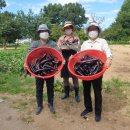 상송농장 이미지