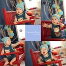 레몬트리 이미지