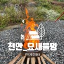 요새불멍 이미지