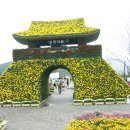 양산 황산공원 국화축제 이미지