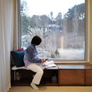 스테이 그로브 이미지