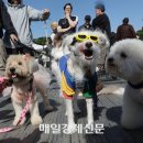 월 - 천안시 동남구 청수11로 24 | 월