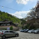 단풍코리아(유) 단풍나무 이태원점 | 우이동 선운각 한옥 카페. 북한산 벚꽃명소 단풍명소 애견동반 가능한 대형 카페. 유퀴즈, 미스터선샤인...
